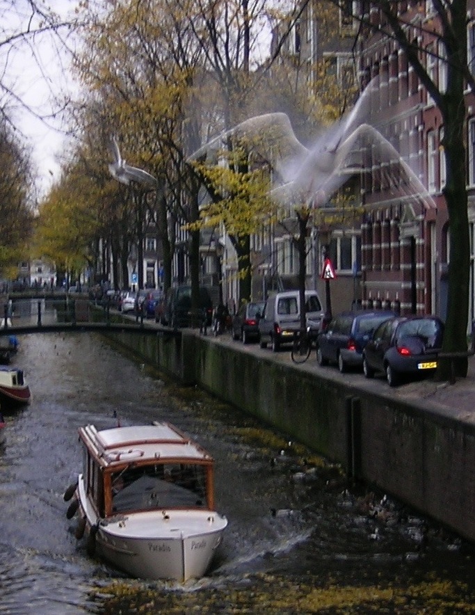 amsterdam