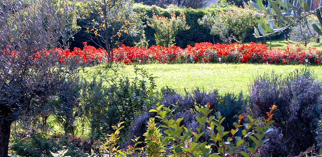 Carini's garden