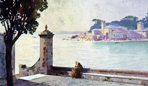 acquarello anonimo