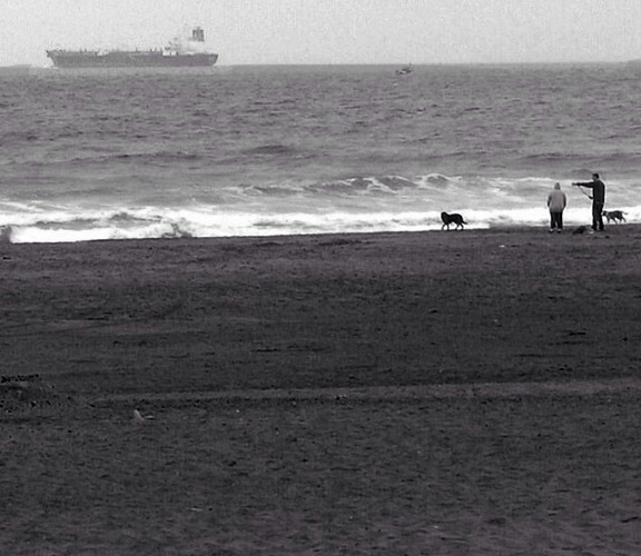 san francisco ocean beach