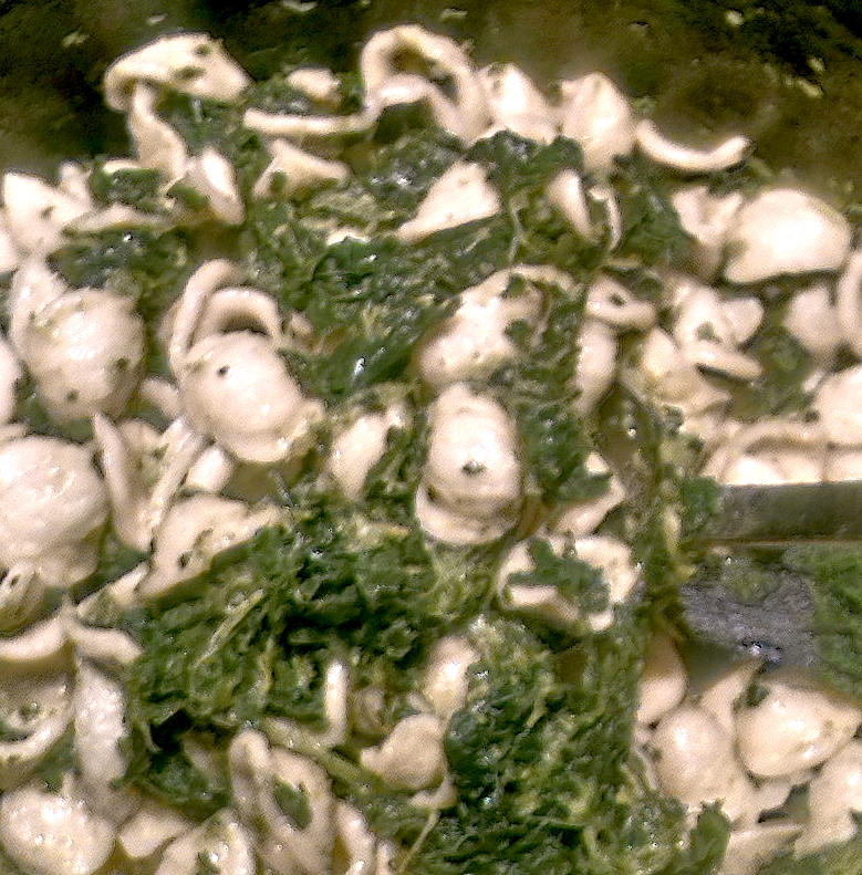orecchiette alle cime di rapa